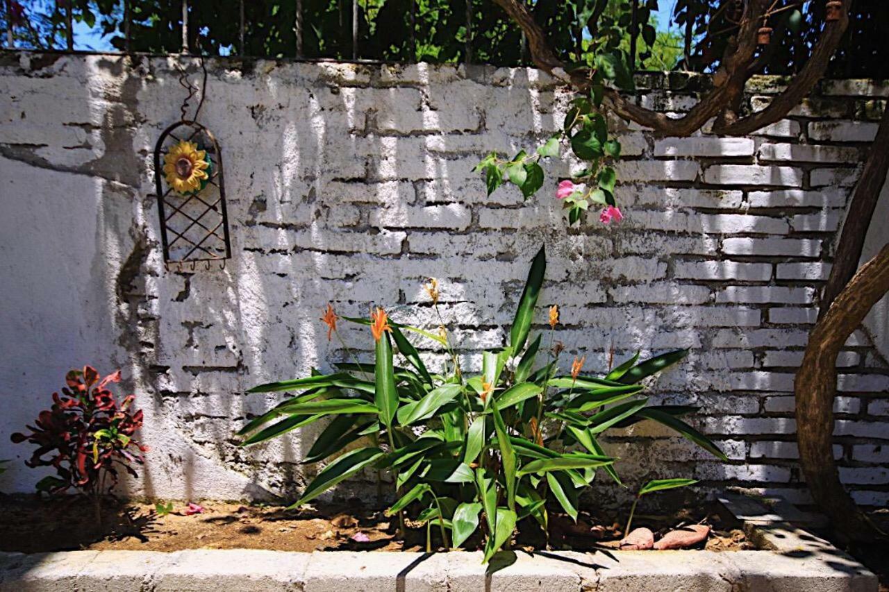 Casita Piedra Lägenhet Puerto Escondido  Exteriör bild